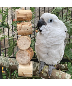 Fiesta Bird Kabob - Natural Shreddable Parrot Toy